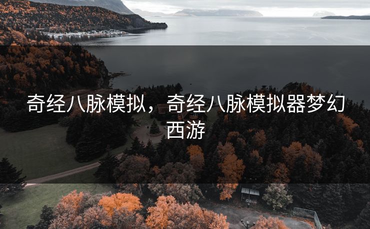 奇经八脉模拟，奇经八脉模拟器梦幻西游