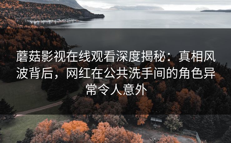 蘑菇影视在线观看深度揭秘：真相风波背后，网红在公共洗手间的角色异常令人意外