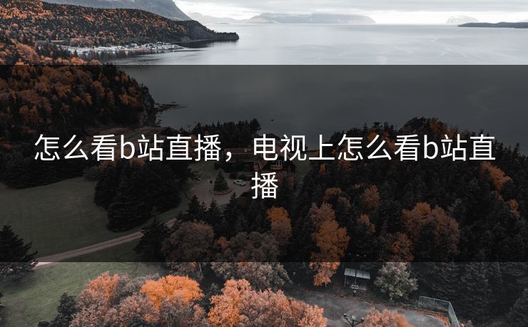 怎么看b站直播，电视上怎么看b站直播