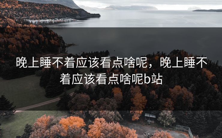 晚上睡不着应该看点啥呢，晚上睡不着应该看点啥呢b站