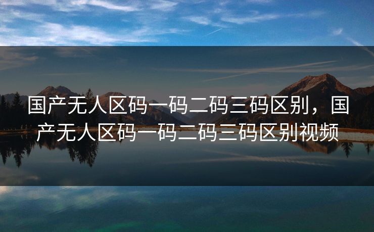 国产无人区码一码二码三码区别，国产无人区码一码二码三码区别视频