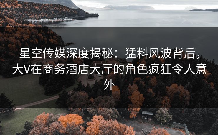 星空传媒深度揭秘：猛料风波背后，大V在商务酒店大厅的角色疯狂令人意外