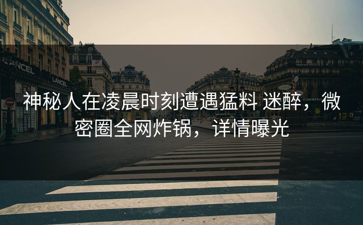 神秘人在凌晨时刻遭遇猛料 迷醉，微密圈全网炸锅，详情曝光